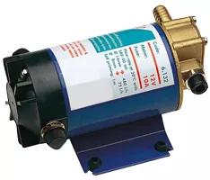 Allpa Electrical Oil Extraction Pump, 12v/10a, Capacity Ø14mm: 480l/H, Ø8mm: 75l/H, Self-Priming 1m