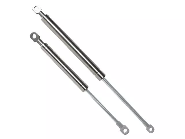 Gas Springs Stainless Steel