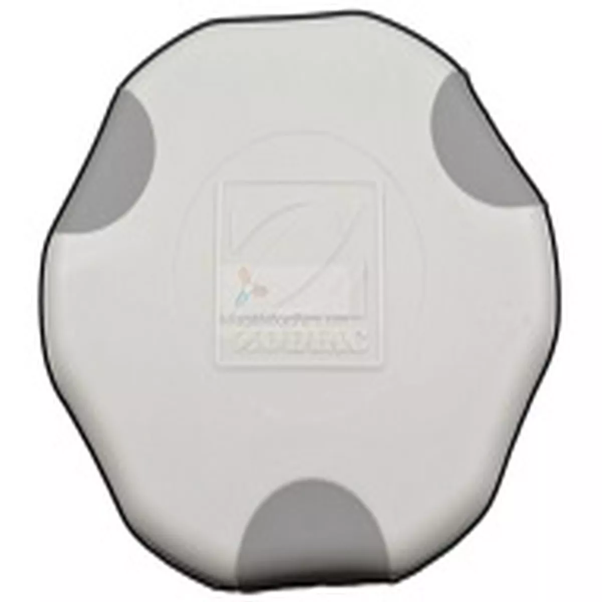 Zodiac Valve Caps (Part #Z67079)